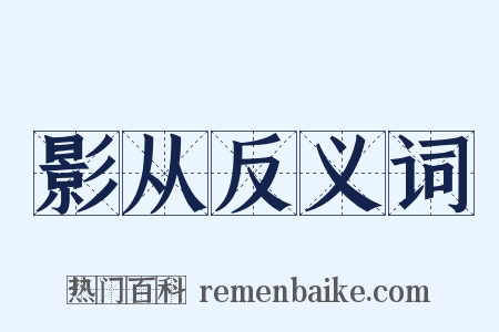 影从反义词是什么意思的图片